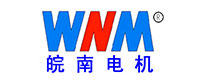 皖南電機(jī)